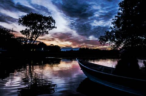 Visões do Pantanal'