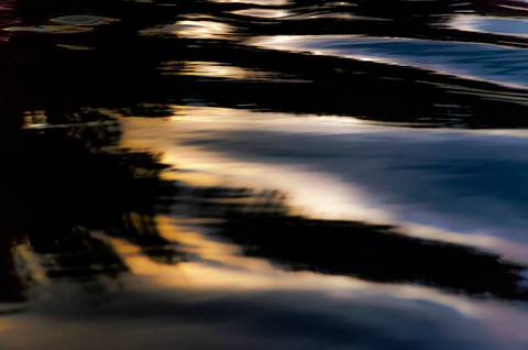 Visões do Pantanal'