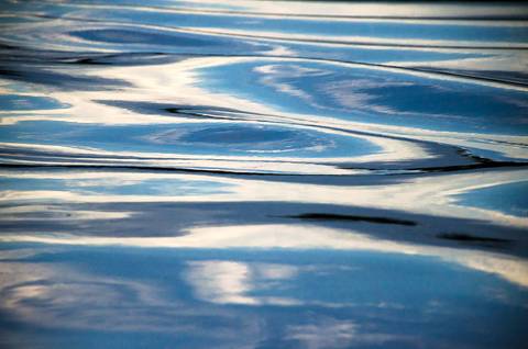 Visões do Pantanal'