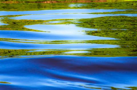 Visões do Pantanal'