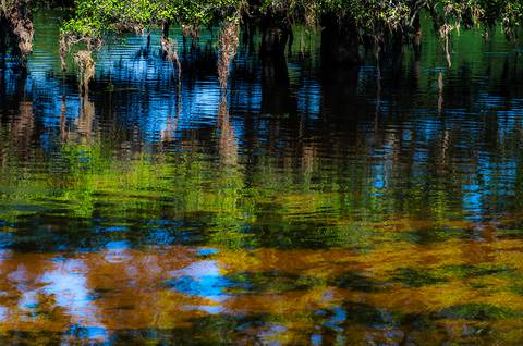 Visões do Pantanal'