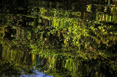 Visões do Pantanal'