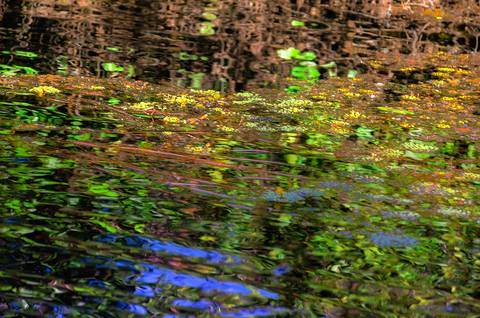 Visões do Pantanal'