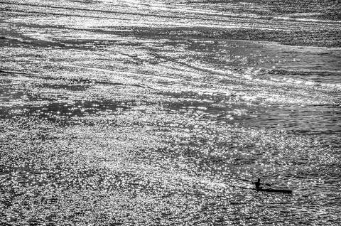 Remada em mar de luz, em Santos-SP'