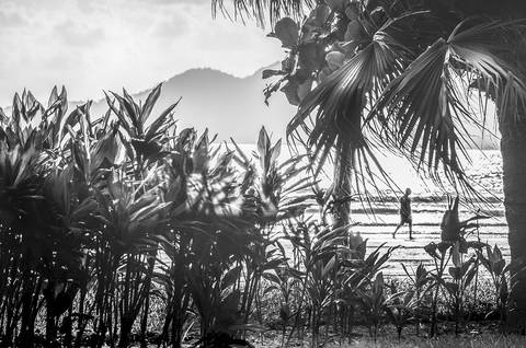 Caminhando entre a natureza por Santos-SP'