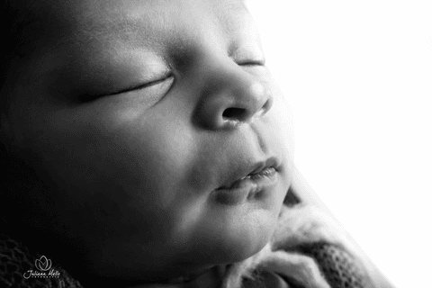 Ensaio Newborn Juliana Mello Fotografia Niterói'