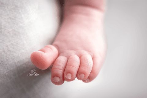 Ensaio Newborn Juliana Mello Fotografia Niterói'