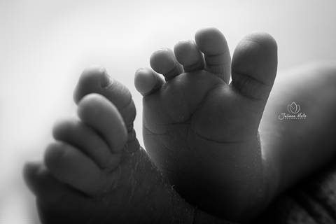 Ensaio Newborn Juliana Mello Fotografia Niterói'