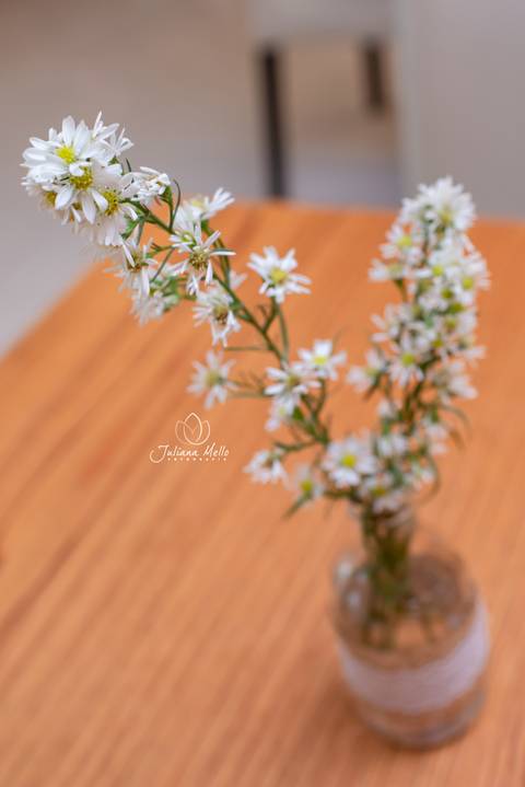 Ensaio Newborn Festa Infantil Juliana Mello Fotografia Niterói'