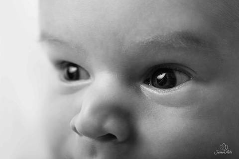 Ensaio Newborn Juliana Mello Fotografia Niterói'