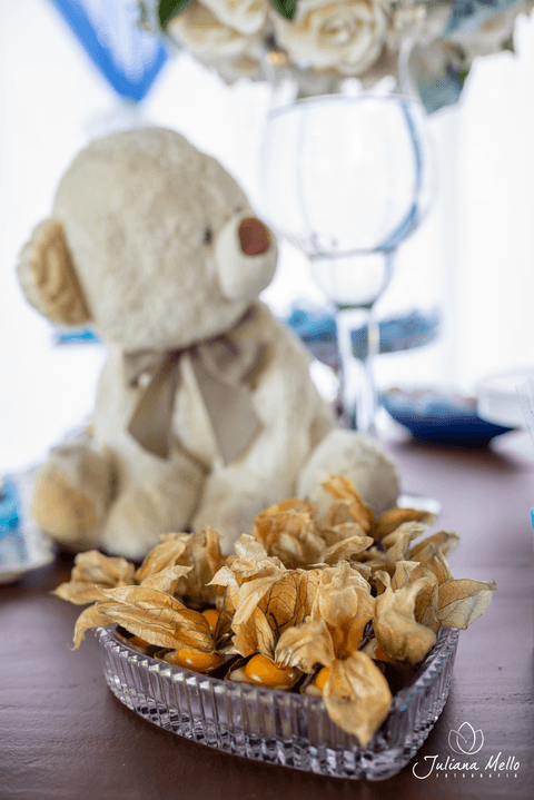 Ensaio Newborn Festa Infantil Juliana Mello Fotografia Araruama'