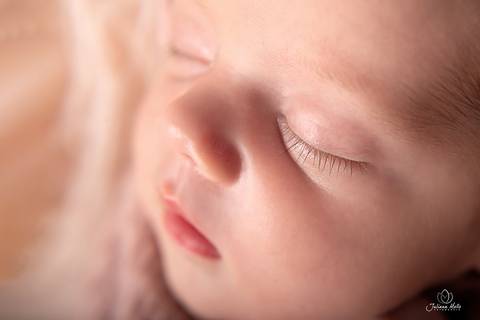 Ensaio Newborn Juliana Mello Fotografia Niterói'