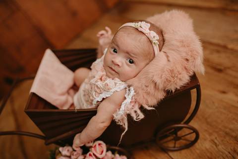 acompanhamento mensal, acompanhamento trimestral, ensaio de bebe, ensaio mensal de bebe, smash the cake, acompanhamento mensal londrina, fotografo de bebe cambé, fotografo de bebe londrina, ensaio de bebe de 1 ano, fotografo de bebe rolandia, Gi Pitori'