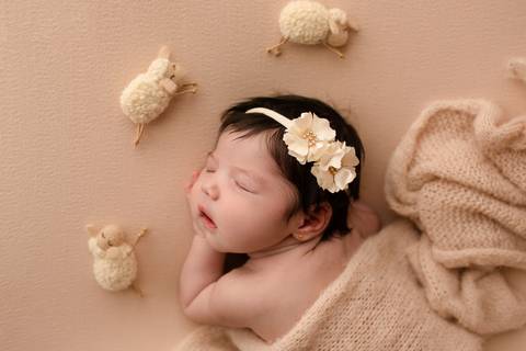 Ensaio Newborn, Ensaio Newborn Londrina, Ensaio Newborn Cambé, Ensaio Newborn Rolândia, Ensaio de bebê, Ensaio de Recém Nascido, ensaio newborn arapongas, ensaio newborn apucarana, ensaio de recem nascido cambé, ensaio de recem nascido londrina'