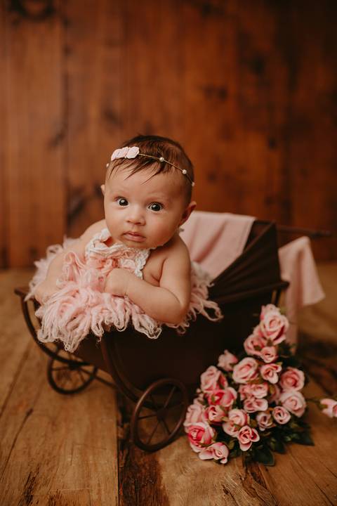 acompanhamento mensal, acompanhamento trimestral, ensaio de bebe, ensaio mensal de bebe, smash the cake, acompanhamento mensal londrina, fotografo de bebe cambé, fotografo de bebe londrina, ensaio de bebe de 1 ano, fotografo de bebe rolandia, Gi Pitori'
