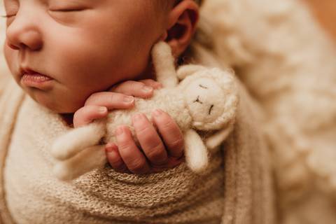 Ensaio Newborn, Ensaio Newborn Londrina, Ensaio Newborn Cambé, Ensaio Newborn Rolândia, Ensaio de bebê, Ensaio de Recém Nascido, ensaio newborn arapongas, ensaio newborn apucarana, ensaio de recem nascido cambé, ensaio de recem nascido londrina'