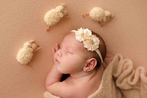 Ensaio Newborn, Ensaio Newborn Londrina, Ensaio Newborn Cambé, Ensaio Newborn Rolândia, Ensaio de bebê, Ensaio de Recém Nascido, ensaio newborn arapongas, ensaio newborn apucarana, ensaio de recem nascido cambé, ensaio de recem nascido londrina'