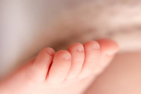 Ensaio Newborn, Ensaio Newborn Londrina, Ensaio Newborn Cambé, Ensaio Newborn Rolândia, Ensaio de bebê, Ensaio de Recém Nascido, ensaio newborn arapongas, ensaio newborn apucarana, ensaio de recem nascido cambé, ensaio de recem nascido londrina'