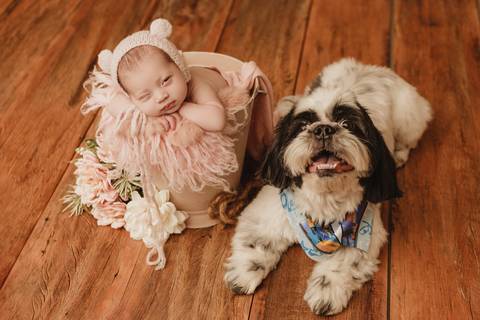 Ensaio Newborn, Ensaio Newborn Londrina, Ensaio Newborn Cambé, Ensaio Newborn Rolândia, Ensaio de bebê, Ensaio de Recém Nascido, ensaio newborn arapongas, ensaio newborn apucarana, ensaio de recem nascido cambé, ensaio de recem nascido londrina'