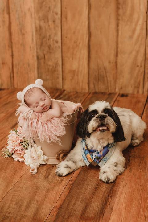 Ensaio Newborn, Ensaio Newborn Londrina, Ensaio Newborn Cambé, Ensaio Newborn Rolândia, Ensaio de bebê, Ensaio de Recém Nascido, ensaio newborn arapongas, ensaio newborn apucarana, ensaio de recem nascido cambé, ensaio de recem nascido londrina'