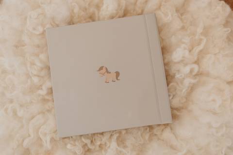 Ensaio Newborn, Ensaio Newborn Londrina, Ensaio Newborn Cambé, Ensaio Newborn Rolândia, Ensaio de bebê, Ensaio de Recém Nascido, ensaio newborn arapongas, ensaio newborn apucarana, ensaio de recem nascido cambé, ensaio de recem nascido londrina'