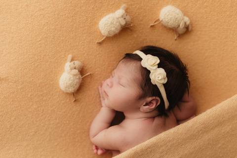 Ensaio Newborn, Ensaio Newborn Londrina, Ensaio Newborn Cambé, Ensaio Newborn Rolândia, Ensaio de bebê, Ensaio de Recém Nascido, ensaio newborn arapongas, ensaio newborn apucarana, ensaio de recem nascido cambé, ensaio de recem nascido londrina'