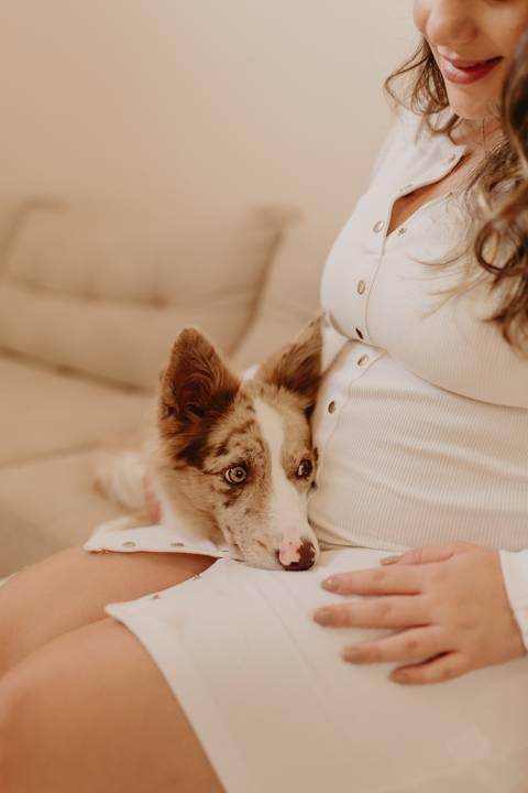 ensaio de gestante ao ar livre, Ensaio de gestante em estúdio, Ensaio de Gestante, Ensaio de Gestante Londrina, Ensaio de Gestante Cambé, Ensaio de Gestante Rolândia, Ensaio de Gestante no Studio, Gravidinha, Ensaio de Gestante Externo'