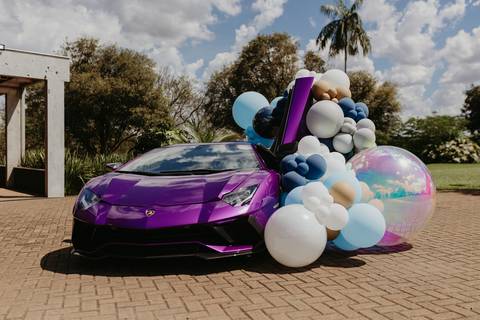 fotógrafa aniversário infantil, Londrina, Cambé, fotos festa infantil, book infantil, fotografia profissional, ensaio fotográfico crianças, pacotes fotografia aniversário, melhores fotógrafos infantis, álbum aniversário criança, orçamento fotógrafa infant'