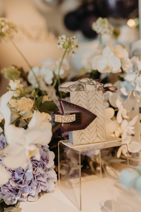 fotógrafa aniversário infantil, Londrina, Cambé, fotos festa infantil, book infantil, fotografia profissional, ensaio fotográfico crianças, pacotes fotografia aniversário, melhores fotógrafos infantis, álbum aniversário criança, orçamento fotógrafa infant'