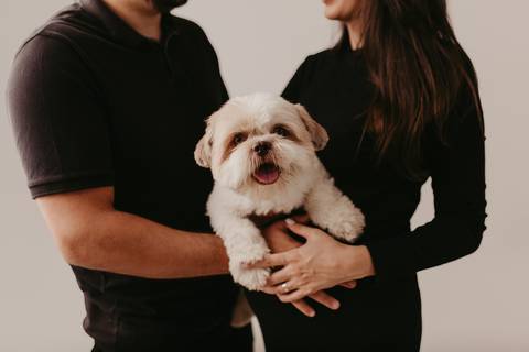  Ensaio de gestante em estúdio, Ensaio de Gestante, Ensaio de Gestante Londrina, Ensaio de Gestante Cambé, '