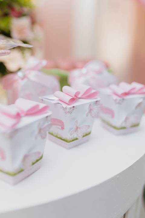 fotógrafa aniversário infantil, Londrina, Cambé, fotos festa infantil, '