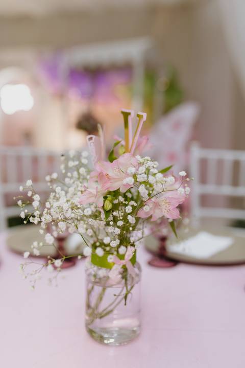 fotógrafa aniversário infantil, Londrina, Cambé, fotos festa infantil, '