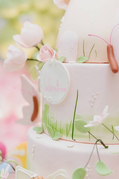 fotógrafa aniversário infantil, Londrina, Cambé, fotos festa infantil, '