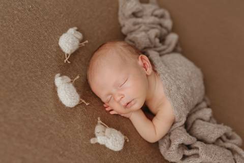 Ensaio Newborn, Ensaio Newborn Londrina, Ensaio Newborn Cambé, Ensaio Newborn Rolândia, Ensaio de'