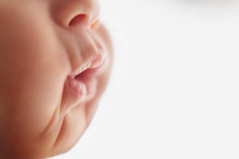 Ensaio Newborn, Ensaio Newborn Londrina, Ensaio Newborn Cambé, Ensaio Newborn Rolândia, Ensaio de'