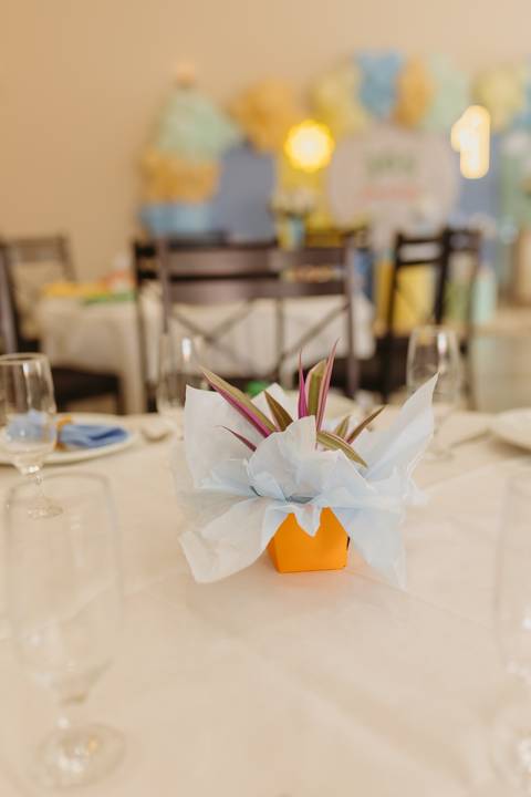 fotógrafa aniversário infantil, Londrina, Cambé, fotos festa infantil, '