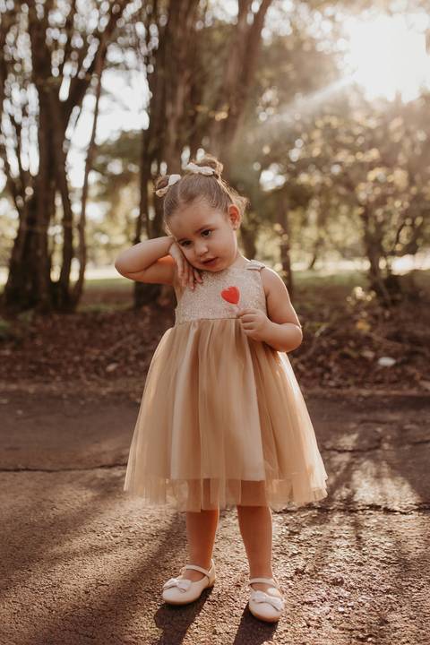 Fotografia de familia
Ensaio de familia
Familia Londrina'