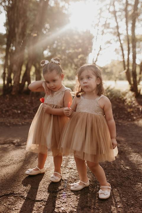 Fotografia de familia
Ensaio de familia
Familia Londrina'