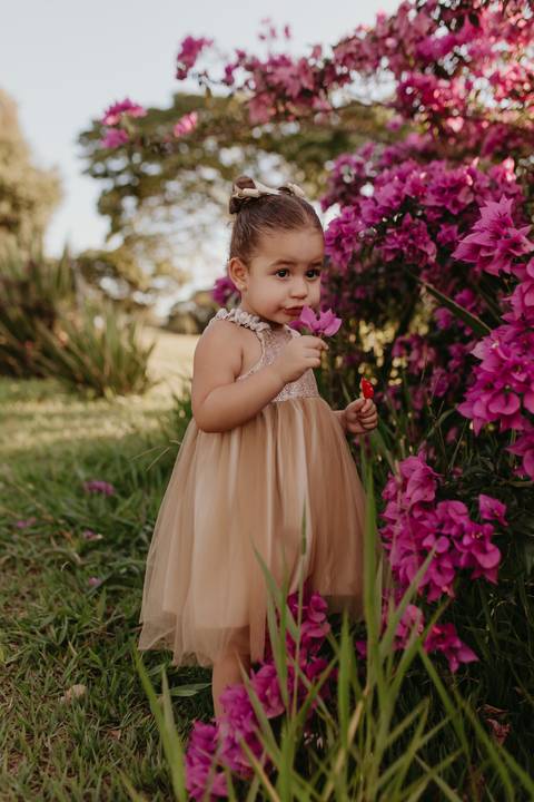 Fotografia de familia
Ensaio de familia
Familia Londrina'