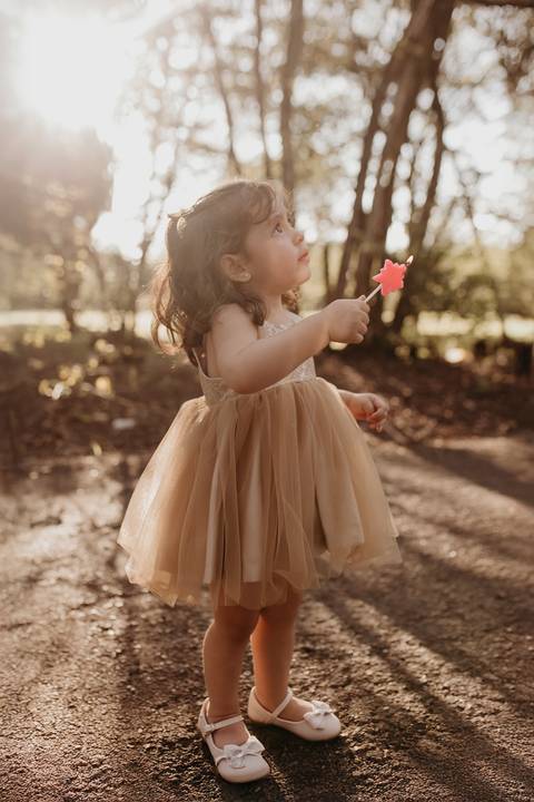 Fotografia de familia
Ensaio de familia
Familia Londrina'