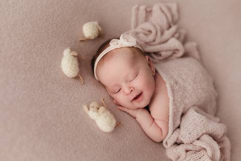 Ensaio Newborn, Ensaio Newborn Londrina, Ensaio Newborn Cambé, Ensaio Newborn Rolândia, Ensaio '