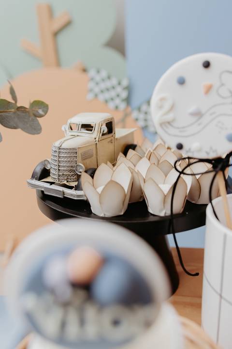 Fotógrafa aniversário infantil, Londrina, Cambé, fotos festa infantil, '