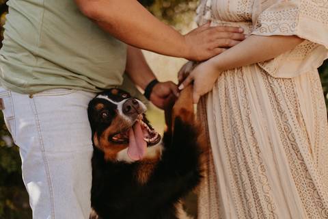 Ensaio de gestante em estúdio, Ensaio de Gestante, Ensaio de Gestante Londrina, Ensaio de '