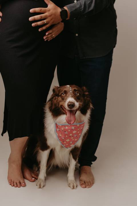 Ensaio de gestante em estúdio, Ensaio de Gestante, Ensaio de Gestante Londrina, Ensaio de '