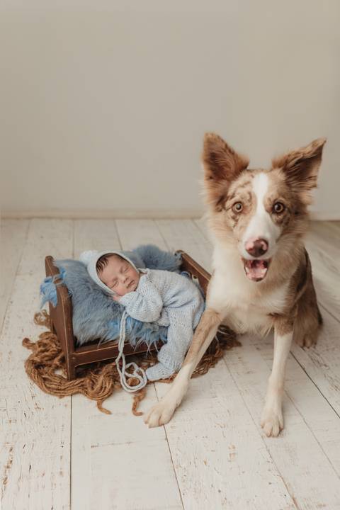 Ensaio Newborn, Ensaio Newborn Londrina, Ensaio Newborn Cambé, Ensaio Newborn Rolândia, Ensaio '