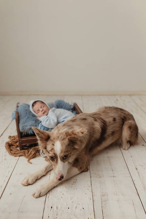 Ensaio Newborn, Ensaio Newborn Londrina, Ensaio Newborn Cambé, Ensaio Newborn Rolândia, Ensaio '