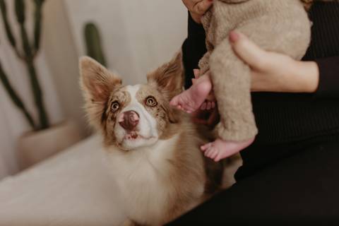 Ensaio Newborn, Ensaio Newborn Londrina, Ensaio Newborn Cambé, Ensaio Newborn Rolândia, Ensaio '