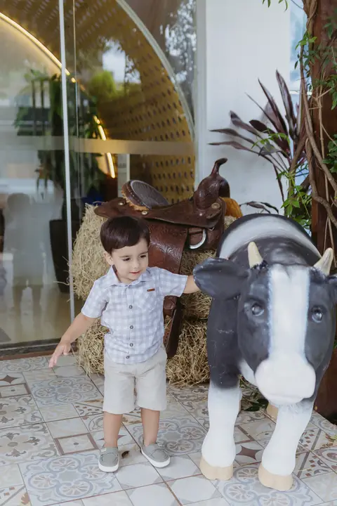 Fotógrafa aniversário infantil, Londrina, Cambé, fotos festa infantil, '