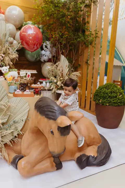 Fotógrafa aniversário infantil, Londrina, Cambé, fotos festa infantil, '