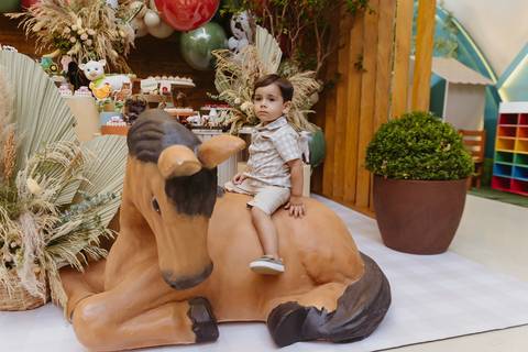 Fotógrafa aniversário infantil, Londrina, Cambé, fotos festa infantil, '